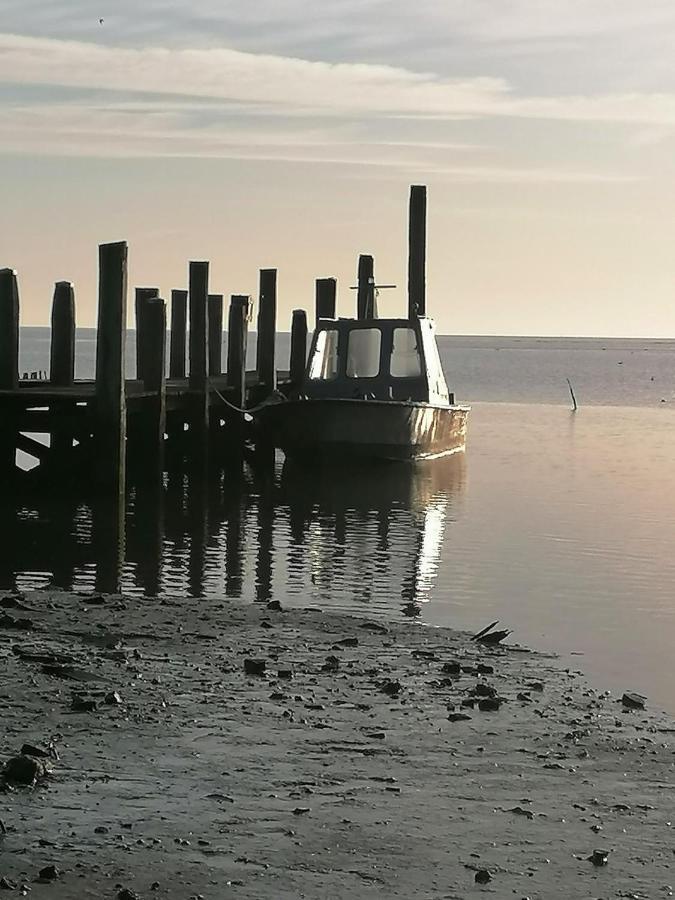 לינה וארוחת בוקר דה קוקסדורפ Dock10Texel מראה חיצוני תמונה
